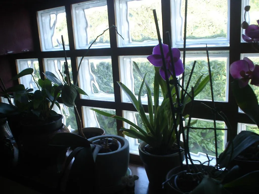 Maison D'Este Bed & Breakfast Casnate Con Bernate